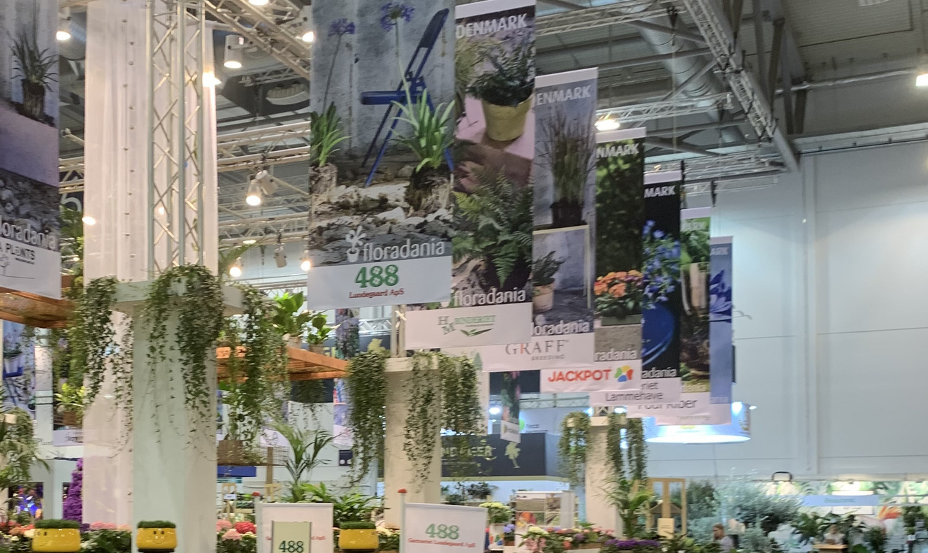 Flora_Dania_Joint_Stand