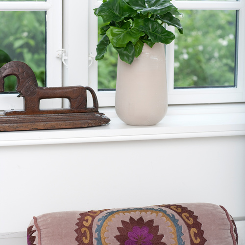 Image of Philodendron bipinnatifidum