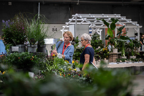 Danske planter Flora Dania Trade Fair Handelspladsen