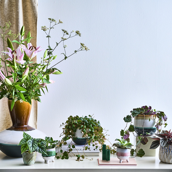 lundager_planter_grønne_palnter