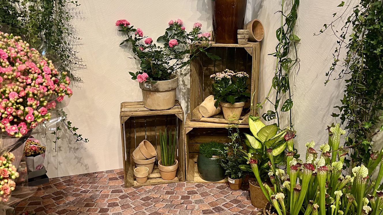 Flora_Dania_Joint_Stand